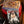 The Odd Fellows From The Sanctuary - Sister Merry Gorda