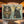 The Odd Fellows From The Sanctuary - Sister Merry Gorda