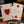 Bundle: 10 Red Cats Riding