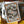 Bundle: Odd Fellows - Cpt Spindel Webber 6-PACK LTD500