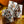 Bundle: Odd Fellows - Cpt Spindel Webber 6-PACK LTD500